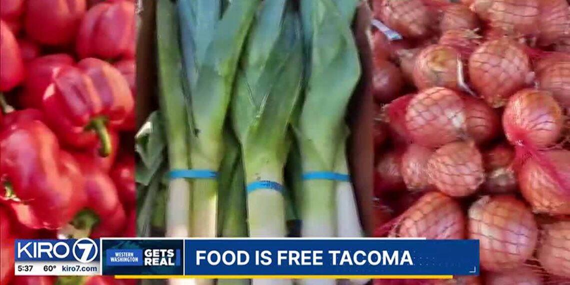 Meals is Free Tacoma – KIRO 7 Information Seattle – KIRO Seattle – 10NEWS