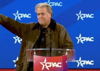 A Nationwide Socialist greeting the previous star guide of Donald Trump unleashs a disaster on the overactive summit in the US