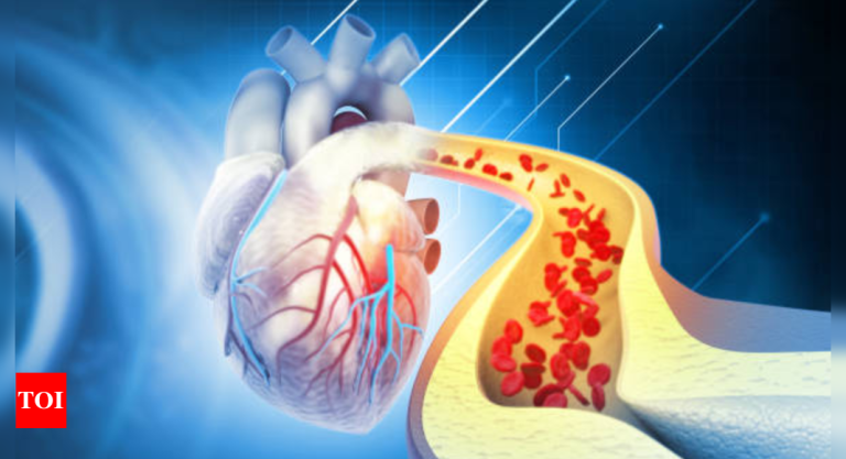 Is ldl cholesterol dangerous? 7 myths which might be ruining your well being
