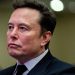 Tesla Basic of Tesla Elon Musk: Musk that bends his political muscle and goes international; He’s making use of a UK play e-book, Germany and Canada much like what he used to disrupt American politics