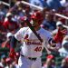 Willson Contreras, Musculos of Cardinal, who swings for fences – Taylorville Every day Information