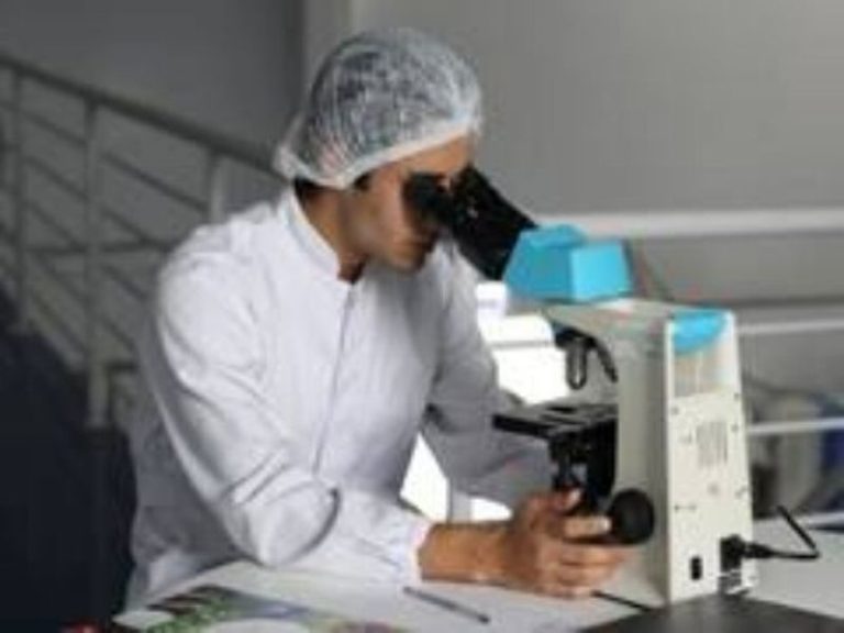 Way of life and Environmental elements have an effect on well being and ageing greater than genes: Examine