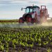 Feds petitioned to get rid of terribly poisonous pesticides in meals / Public Information Service