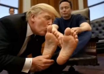 “Lengthy Stay the Actual King”: Hackers play Donald Trump’s video kissing Elon Musk’s ft on Hud’s cafe screens |