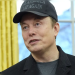 “Do you ever wish to shut Invoice Gates?”, The senator asks us, Elon Musk replies …