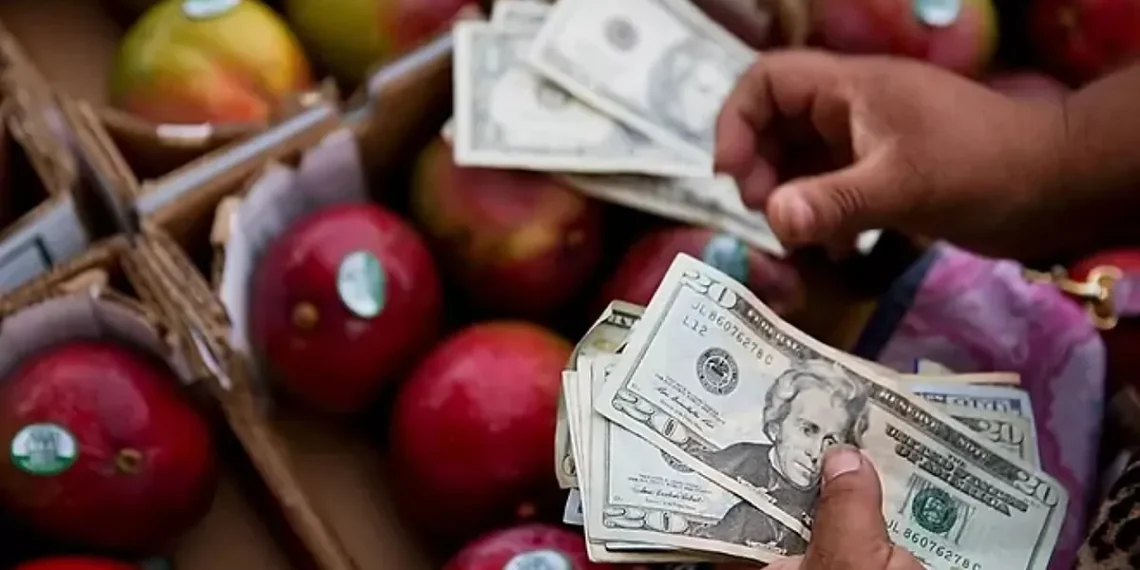 SNAP Florida Cost Schedule: When are March 2025 meals stamps deposited? – Marca English