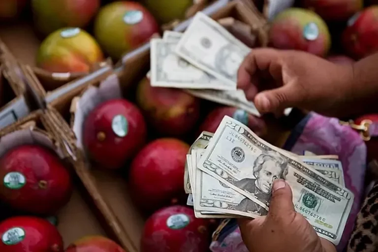SNAP Florida Cost Schedule: When are March 2025 meals stamps deposited? – Marca English