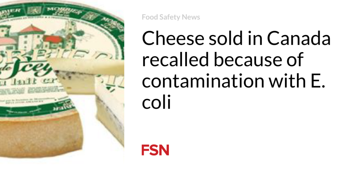 Cheese bought in Canada recalled due to contamination with E. coli
