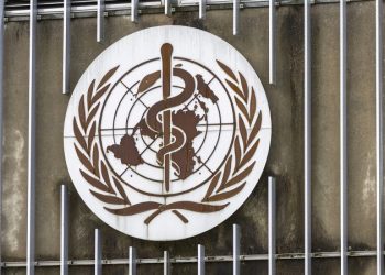 Who: Trump proclaims us to withdraw from the World Well being Group