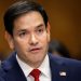 Marco Rubio orders nearly all US exterior assist