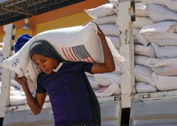 USAID safety supervisor eliminated after having rejected Elon Musks Doge -employees from Doge to safe entry to programs