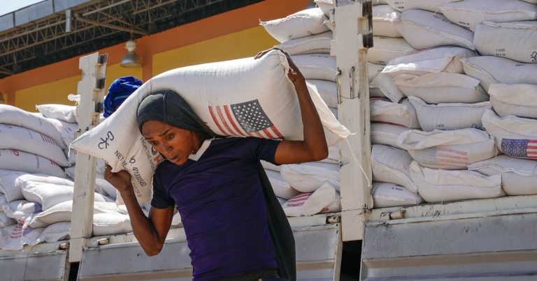USAID safety supervisor eliminated after having rejected Elon Musks Doge -employees from Doge to safe entry to programs