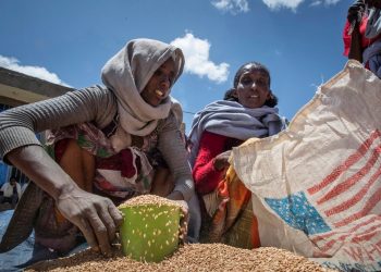 What’s USAID? Why Trump, Musk urges the US international help company to shut