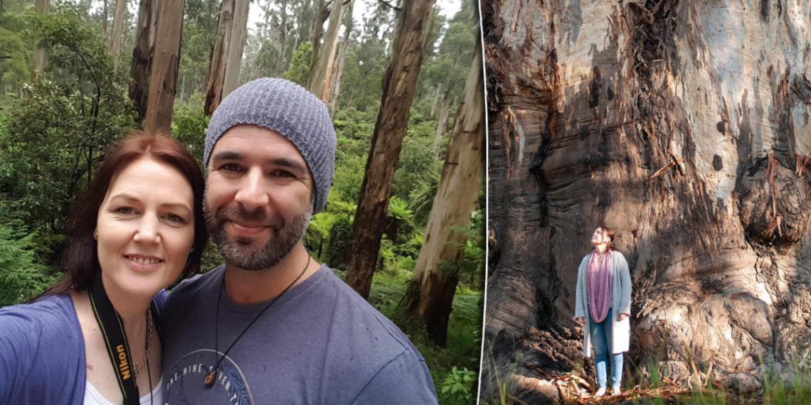 ‘Tree searching for’ couple journey 1,000kms as a part of rising Aussie pattern: ‘Sense of spirituality’