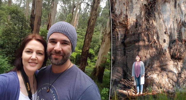 ‘Tree searching for’ couple journey 1,000kms as a part of rising Aussie pattern: ‘Sense of spirituality’