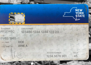 Meals stamp theft. Will New York decide to a repair? | Native Information