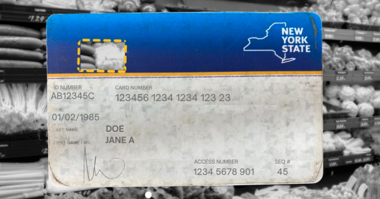 Meals stamp theft. Will New York decide to a repair? | Native Information