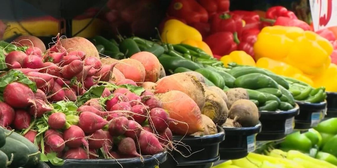 Variety of kids in Indiana scuffling with meals insecurity will increase – WDRB