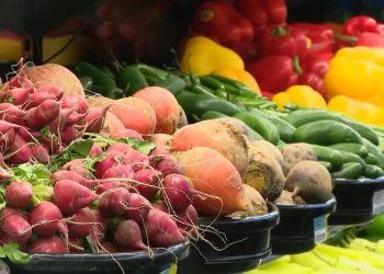 Variety of kids in Indiana scuffling with meals insecurity will increase – WDRB