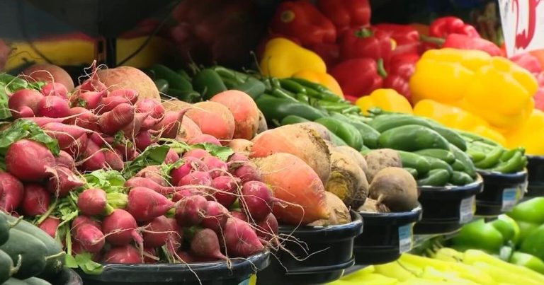 Variety of kids in Indiana scuffling with meals insecurity will increase – WDRB