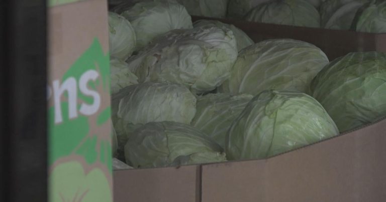 Hawai’i meals packages brace for federal cuts | Information