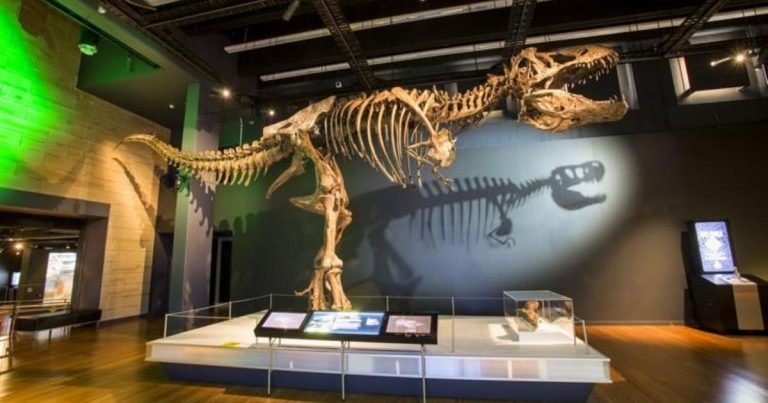 Scientifically talking, new Canby competition brings the OMSI vibe – Oregon Metropolis Information