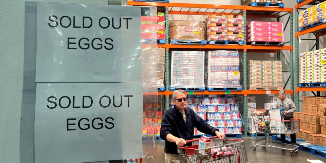 Wyoming confirms state’s 1st human case of hen flu, bringing whole to 70 throughout 13 states