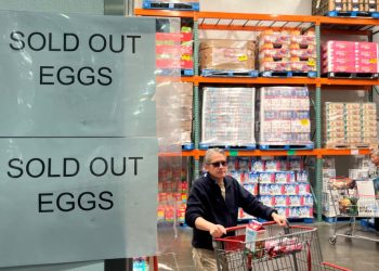 Wyoming confirms state’s 1st human case of hen flu, bringing whole to 70 throughout 13 states