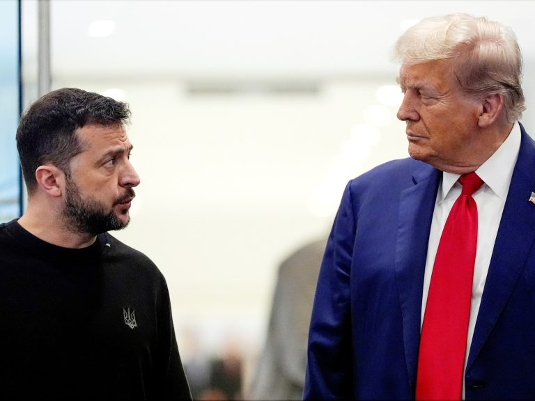 Donald Trump will take Volodimir Zelenski to the White Home to shut an financial deal in trade for safety ensures