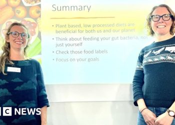 Jersey digital schemes that assist the aged granted subsidies