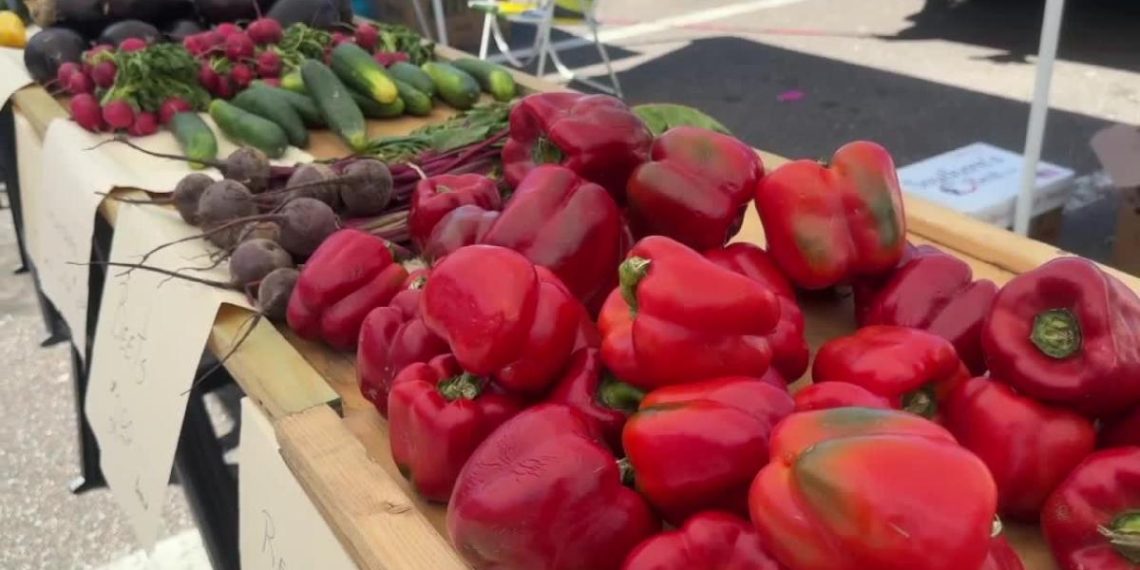 Native farmers market brings recent meals to individuals who don't have entry to grocery shops – Yahoo