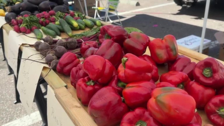 Native farmers market brings recent meals to individuals who don't have entry to grocery shops – Yahoo