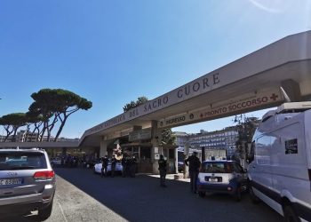 Pope’s well being: Francis’ situation is ‘steady,’ Vatican says