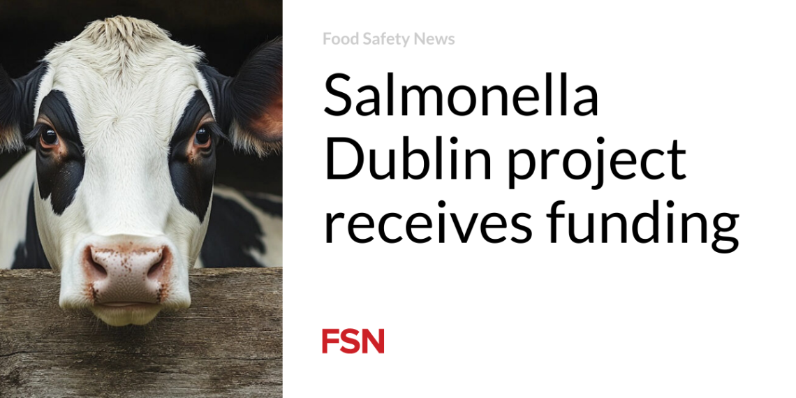 Salmonella Dublin venture receives funding