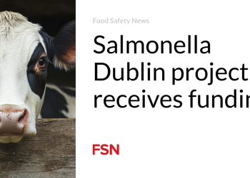 Salmonella Dublin venture receives funding
