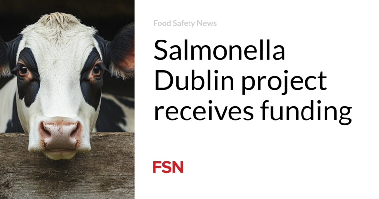 Salmonella Dublin venture receives funding