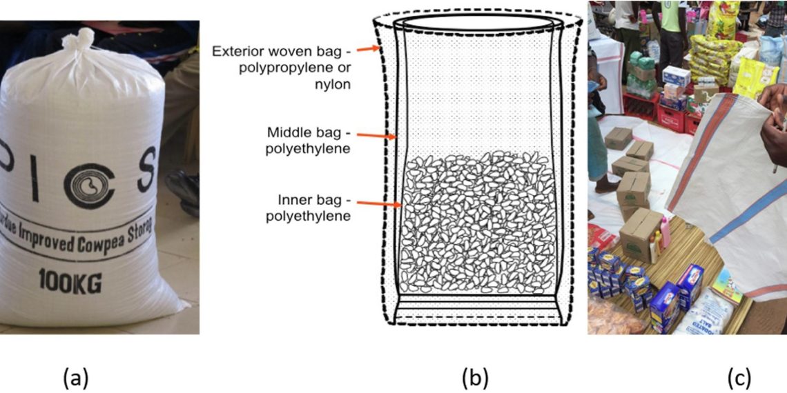 A safer future for meals storage: How easy luggage could possibly be remodeling markets in West Africa