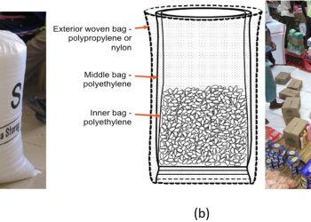 A safer future for meals storage: How easy luggage could possibly be remodeling markets in West Africa