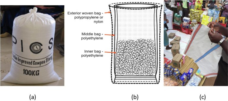 A safer future for meals storage: How easy luggage could possibly be remodeling markets in West Africa