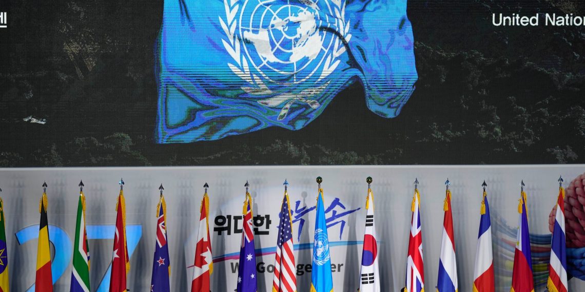 Die Take: What’s it forward of us for world politics in 2025? | Political information