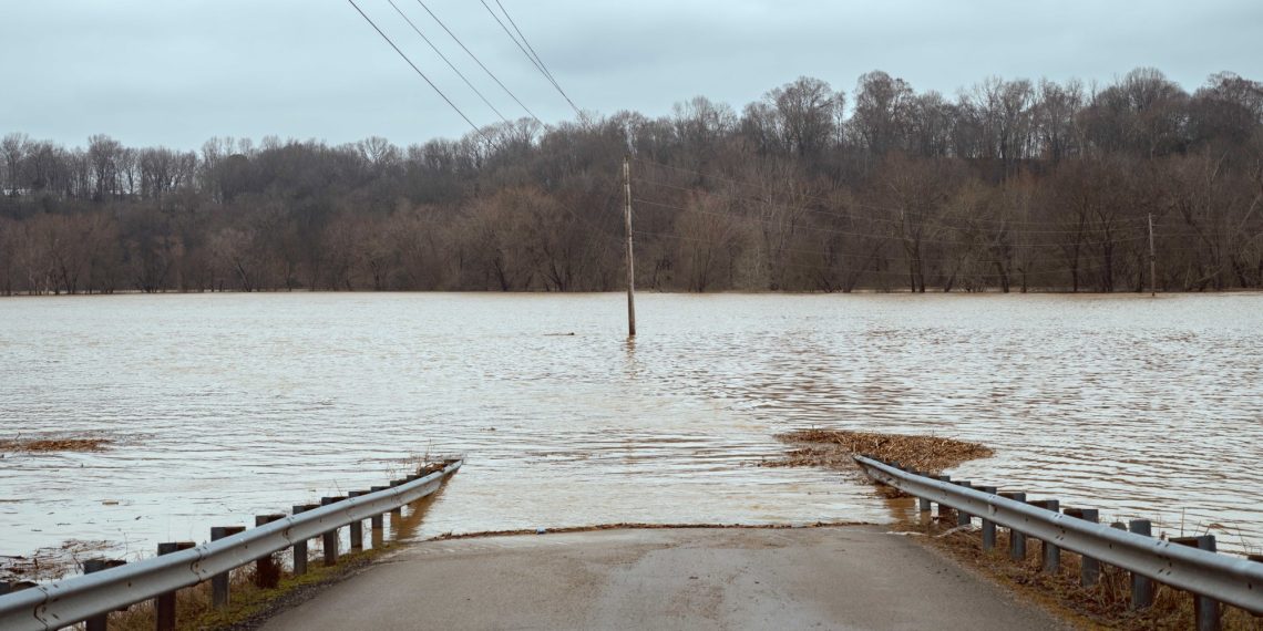 Not less than 11 useless for robust storms and flooding within the southeastern United States that left scenes of destruction