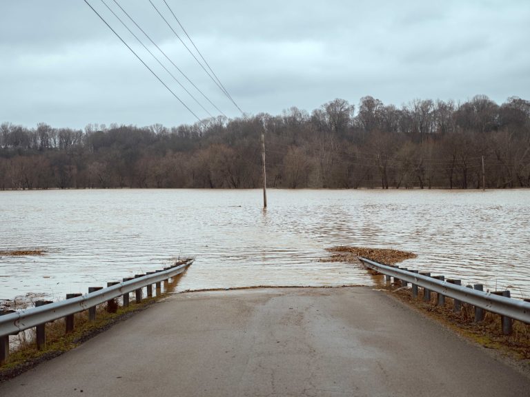 Not less than 11 useless for robust storms and flooding within the southeastern United States that left scenes of destruction