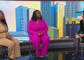 Leisure information with Flew Right here Grew Right here