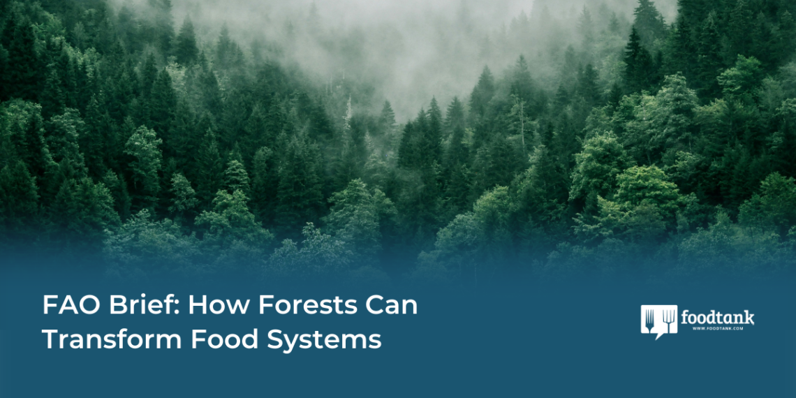 How Forests Can Remodel Meals Methods – Meals Tank