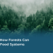 How Forests Can Remodel Meals Methods – Meals Tank