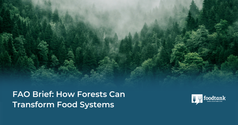 How Forests Can Remodel Meals Methods – Meals Tank