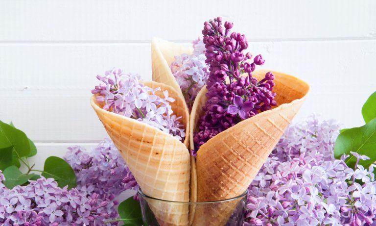 Flowers as meals: How ultrasound makes it potential