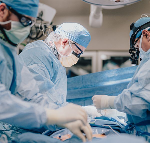 Coronary heart and Vascular Growth Marketing campaign