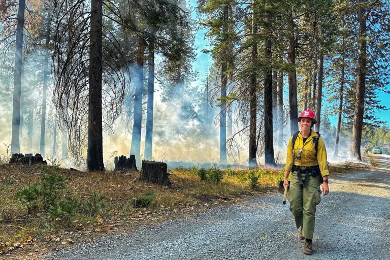 Way forward for Most cancers Protection for Ladies Federal Firefighters Unsure Beneath Trump