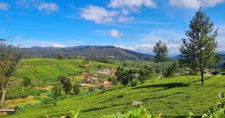 Vacationers Flock to Regardless of Warmth, Boosting Sri Lanka’s Tourism Sector